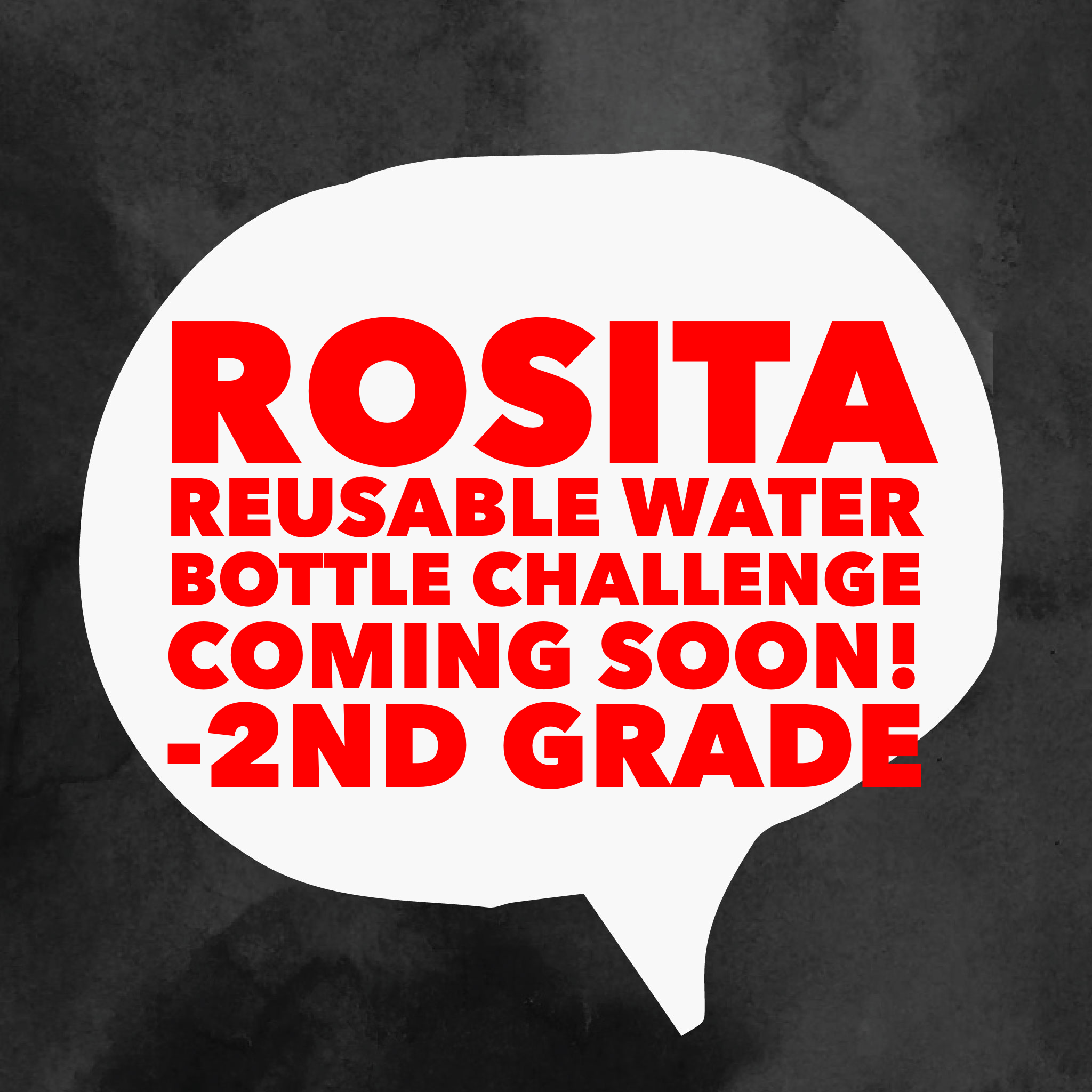 Rosita Zero Waste Challenge - article thumnail image
