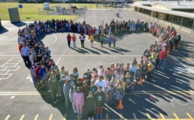 6th Grade Panoramic Picture 2026 - article thumnail image